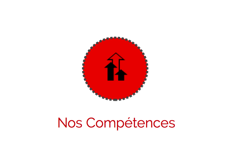 NOS COMPETENCES