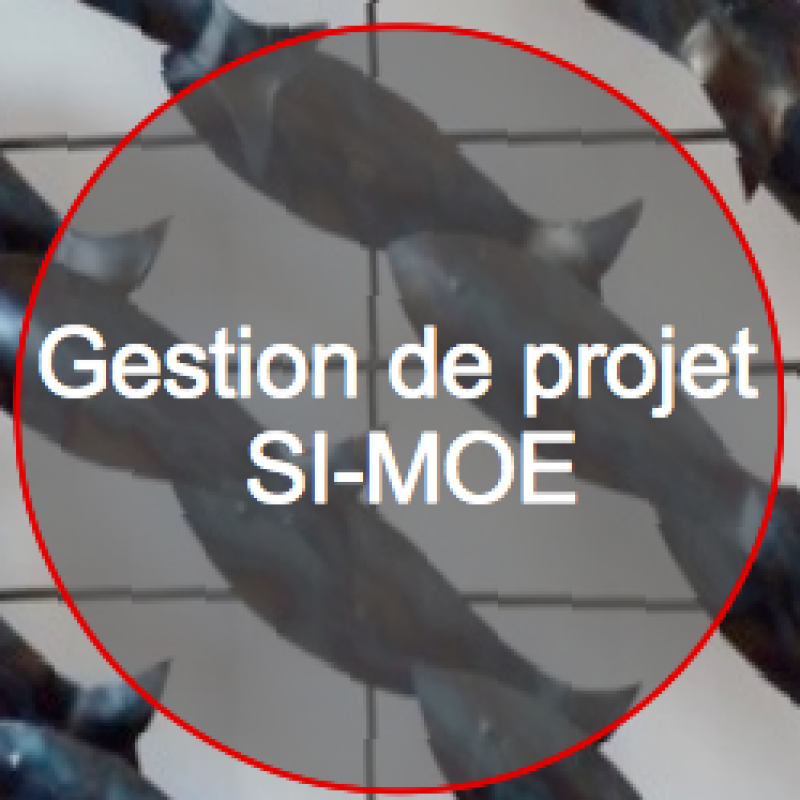 Gestion de projet SI-MOE