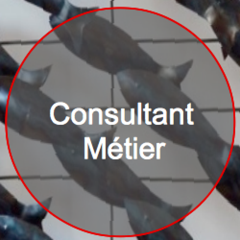Consultant Métier